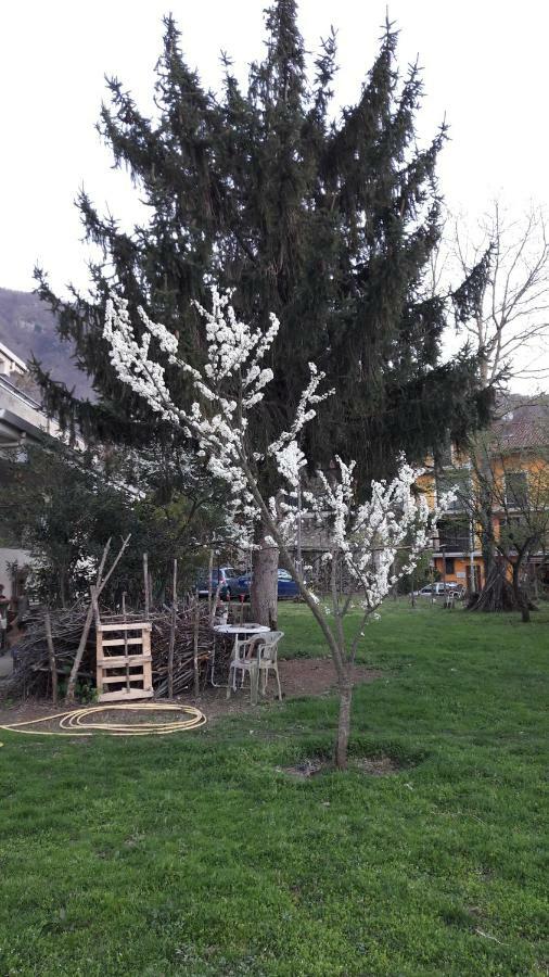 B&B Sun Garden Montoro Inferiore Buitenkant foto